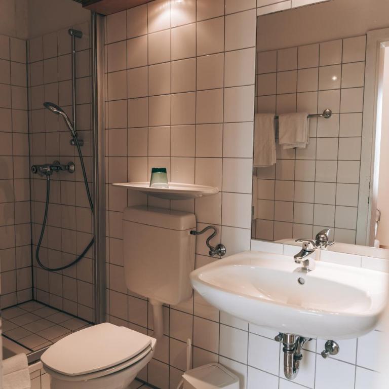 Hotel Wirtshaus Römerhof - Einzelzimmer - 3