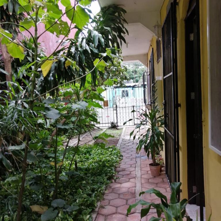 Tucán - One-Bedroom Apartment - 10