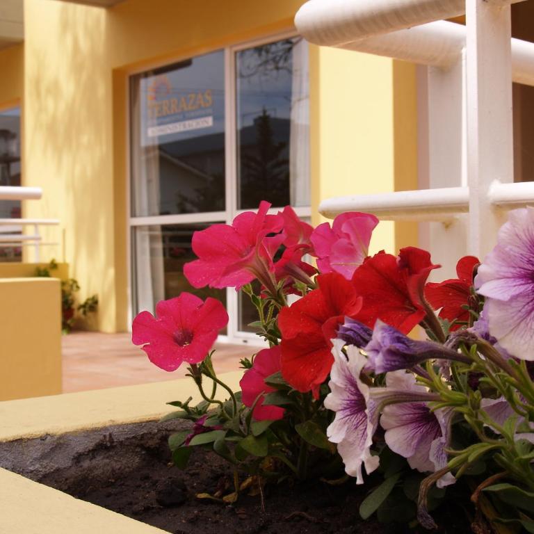 Las Terrazas Departamentos Turisticos - One-Bedroom Apartment - 5
