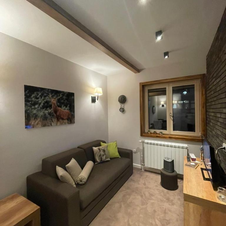 Luna Apartman, Župa Kopaonik - One-Bedroom Apartment - 3