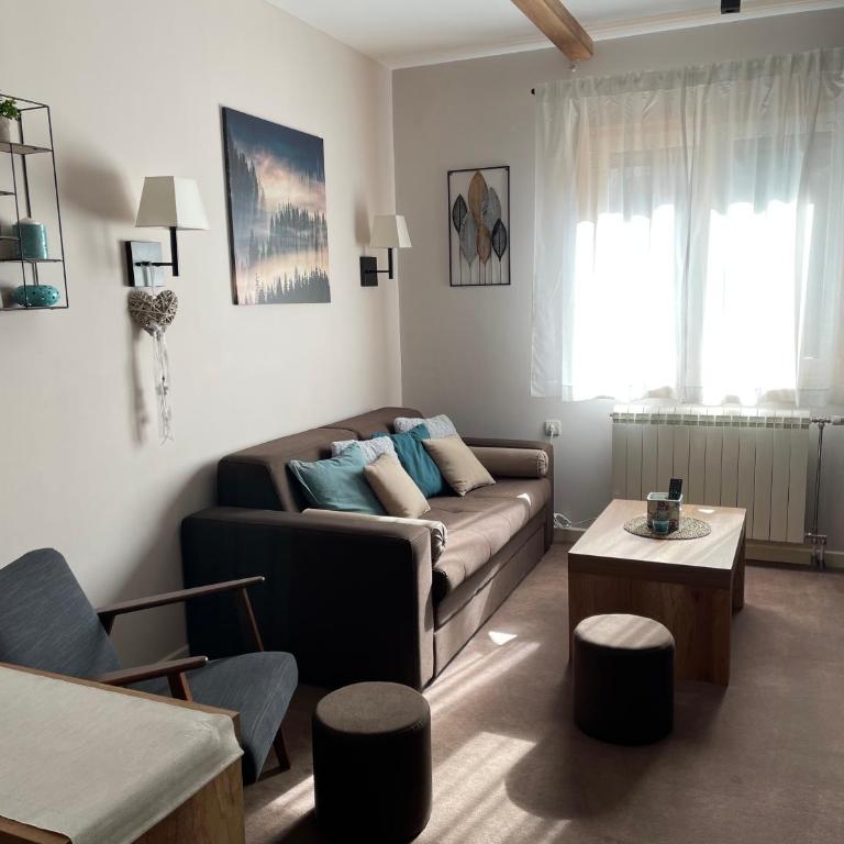 Lola Apartment - Župa, Kopaonik - One-Bedroom Apartment - 1