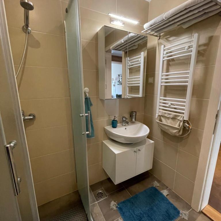 Lola Apartment - Župa, Kopaonik - One-Bedroom Apartment - 12