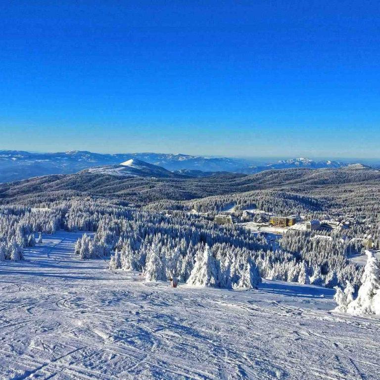 Lola Apartment - Župa, Kopaonik - One-Bedroom Apartment - 23