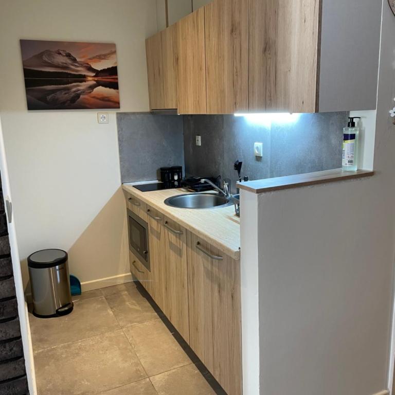Lola Apartment - Župa, Kopaonik - One-Bedroom Apartment - 7