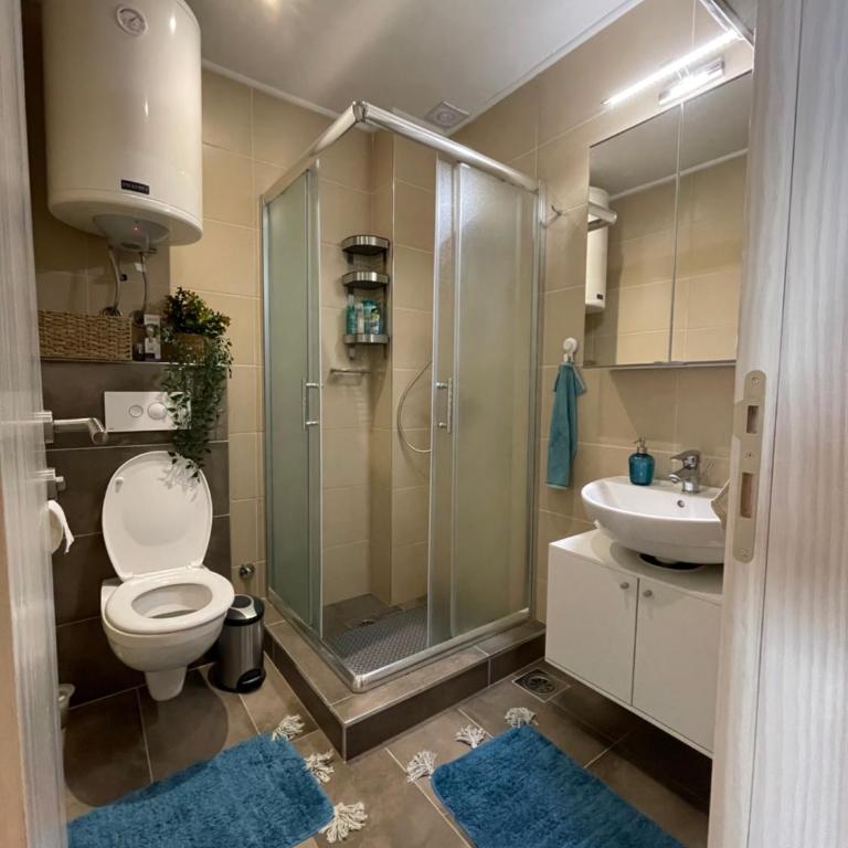 Lola Apartment - Župa, Kopaonik - One-Bedroom Apartment - 13