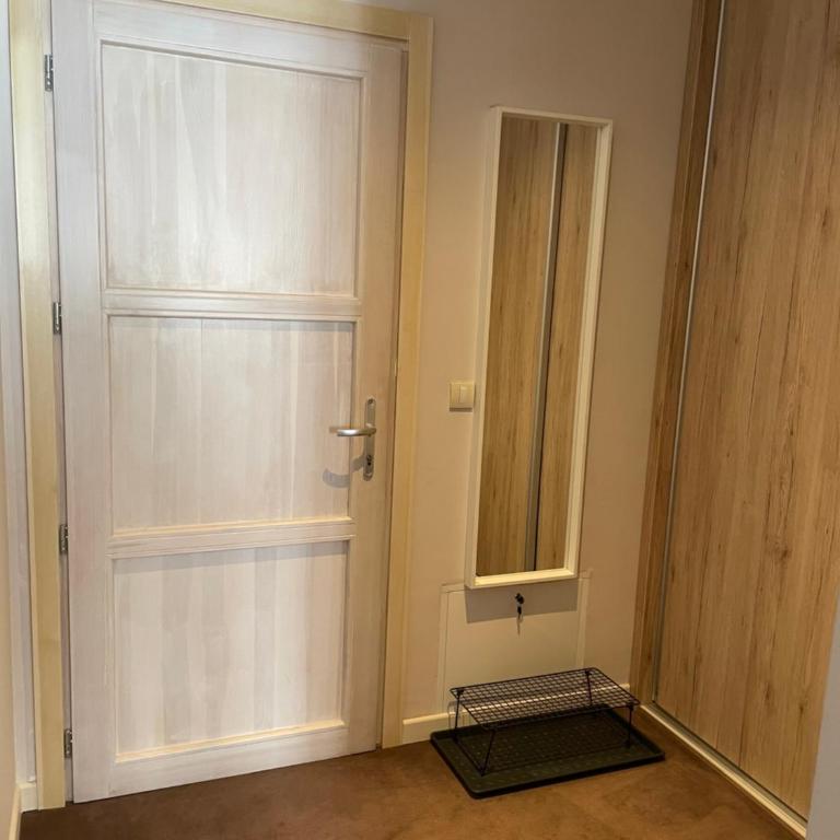 Lola Apartment - Župa, Kopaonik - One-Bedroom Apartment - 10