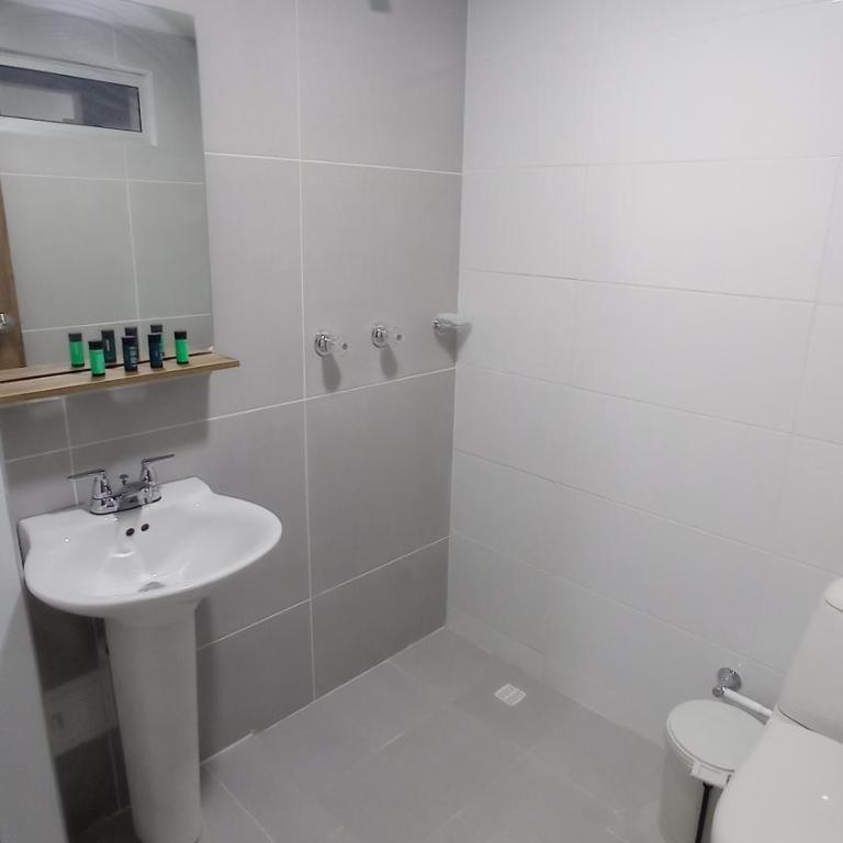 Hotel Andina Blue - Habitación Estándar - 1 cama grande - 4