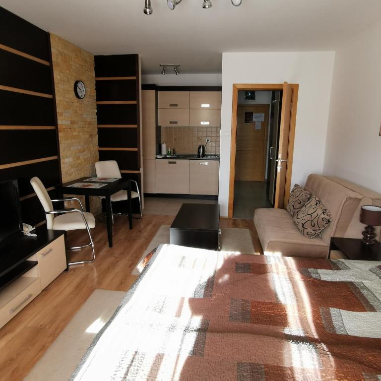 Apartman Snesko Zoned - Studio with Mountain View - 23