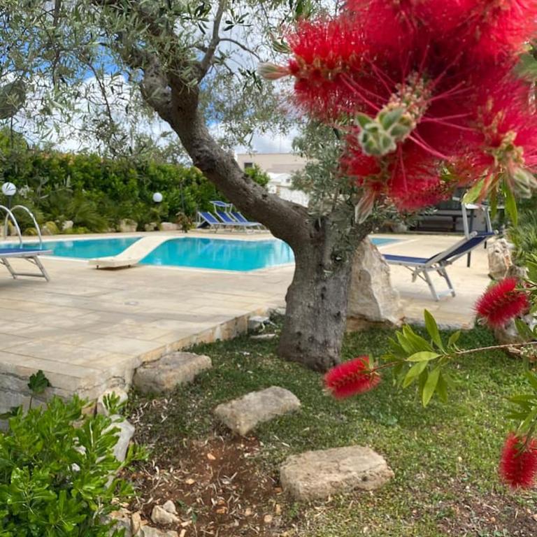 Pugliaholidayplus - VILLA CASSANO - Villa con 3 Camere da Letto - 35