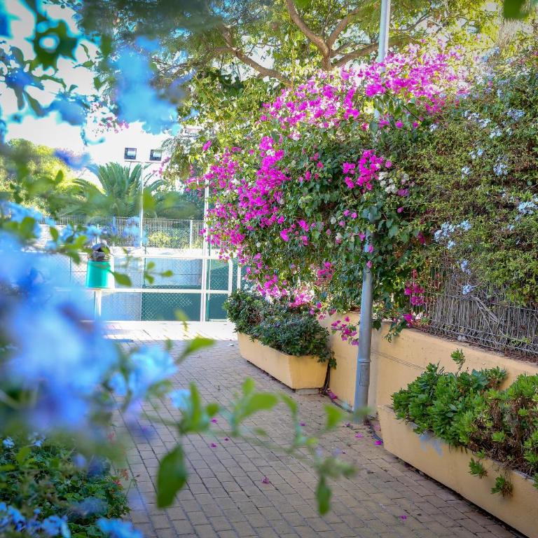 MONTESOL HOME - Parking Gratis - Apartamento de 3 dormitorios - 48