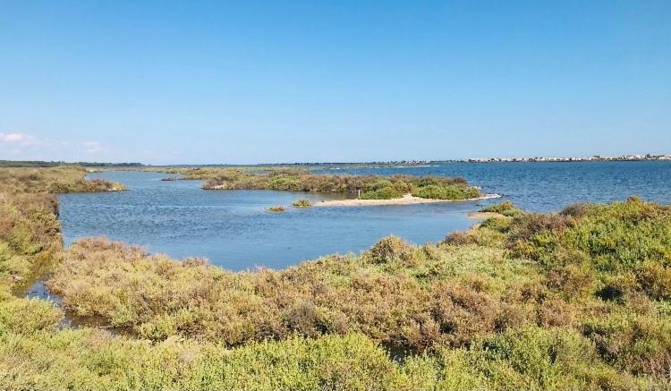 Le Nautica Plage T2 climatisé en bord de mer - Appartement 1 Chambre - 32