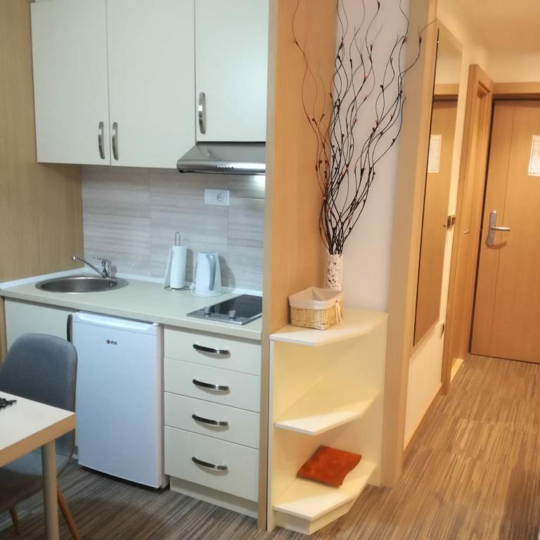 S Konaci - Apartman sa 1 Spavaćom Sobom - 11