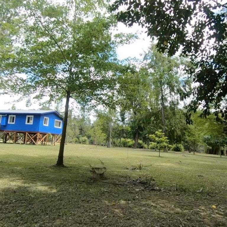 CARPINCHO AMARILLO - Casa de 2 dormitorios - 10