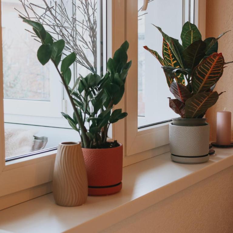 Take it easy Apartment - Apartman sa 1 Spavaćom Sobom - 28