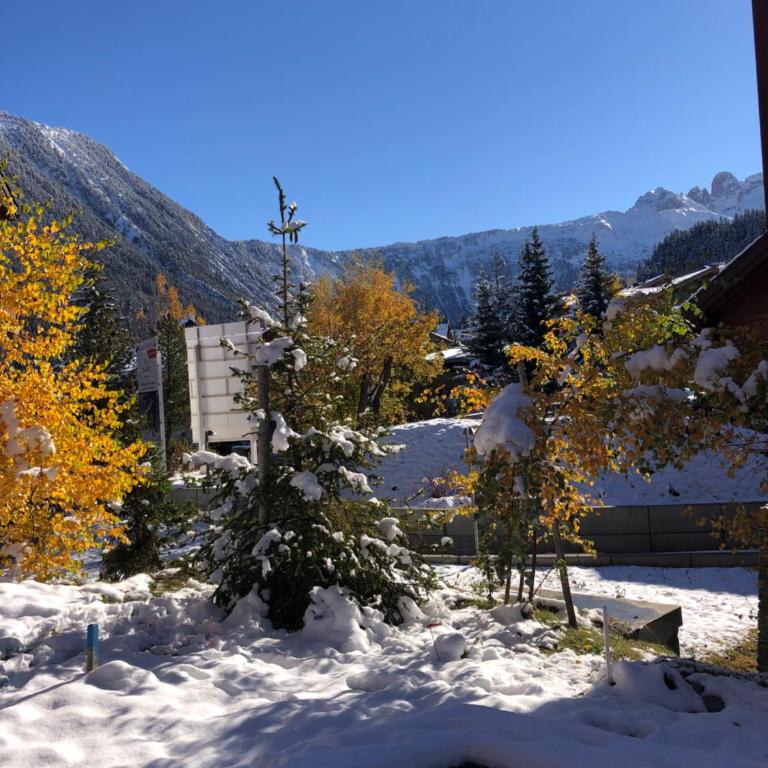 AUx SPORTS D HIVER - Appartement - 2