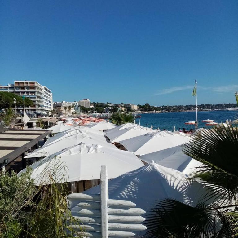 Stylish New 1 bedroom apartment in juan les pins - One-Bedroom Apartment - 20