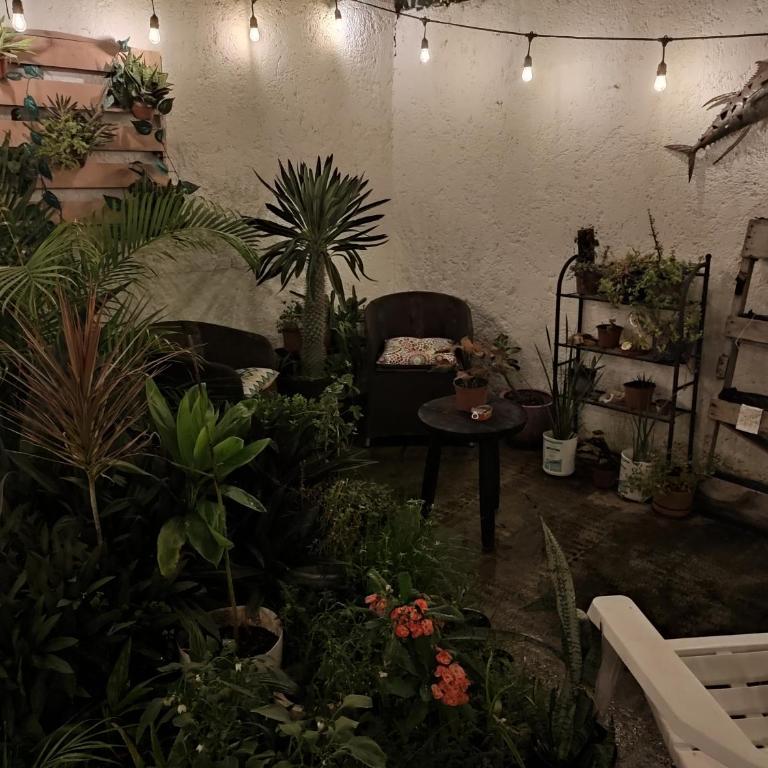 Tu Casa en el Caribe - Habitación Doble con baño privado externo - 5