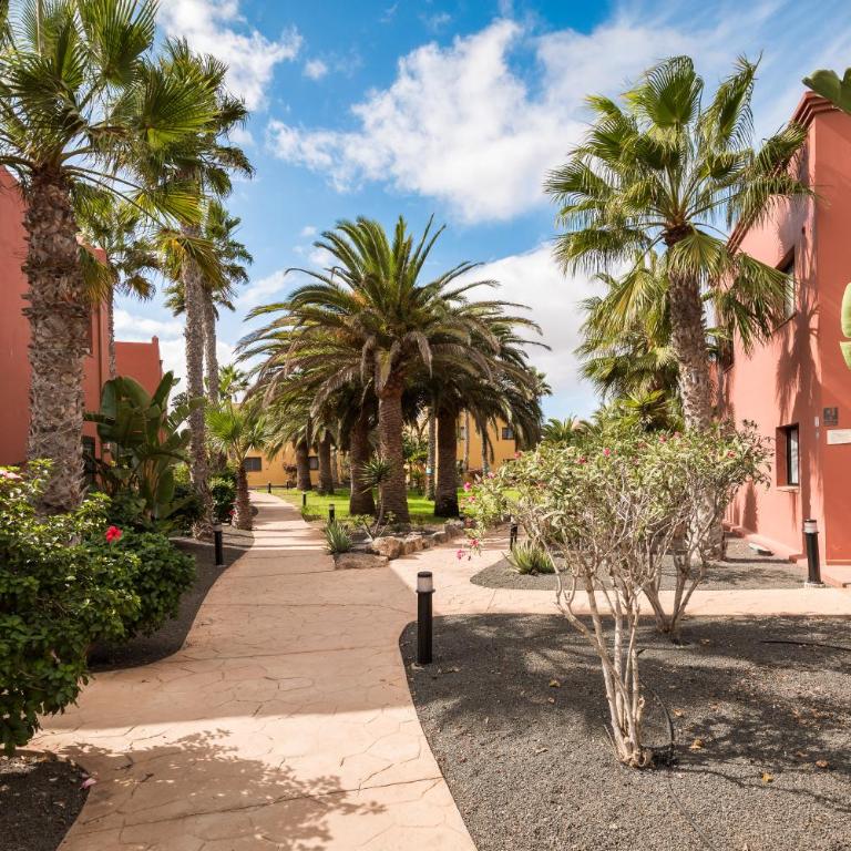 Home2Book Oasis Paradise Home Fuerteventura - One-Bedroom Apartment - 23