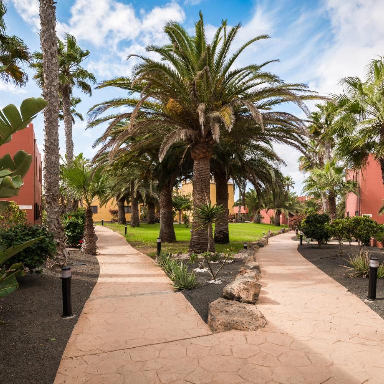 Home2Book Oasis Paradise Home Fuerteventura - One-Bedroom Apartment - 22