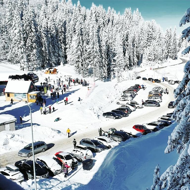 Jahorina Apartmani Laser, Jahorinska Vila - One-Bedroom Apartment - 14