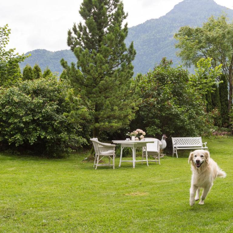 Forest Chalet, all famous ski areas around us, 15 min to city of salzburg, mountainview, panorama sauna, bath whirlpool, fire pit in garden up to 10 p - Haus mit 4 Schlafzimmern - 51