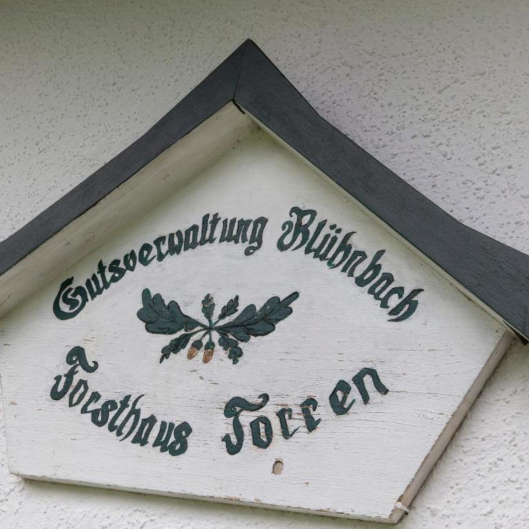 Forest Chalet, all famous ski areas around us, 15 min to city of salzburg, mountainview, panorama sauna, bath whirlpool, fire pit in garden up to 10 p - Haus mit 4 Schlafzimmern - 57