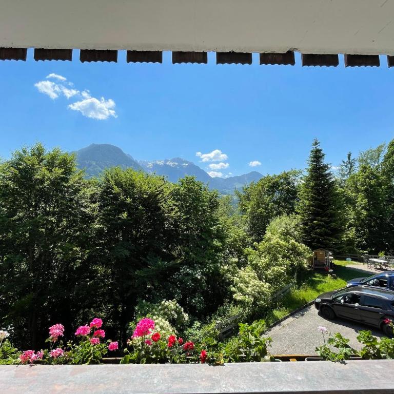 Haus Belvedere - Apartment mit Balkon - 12