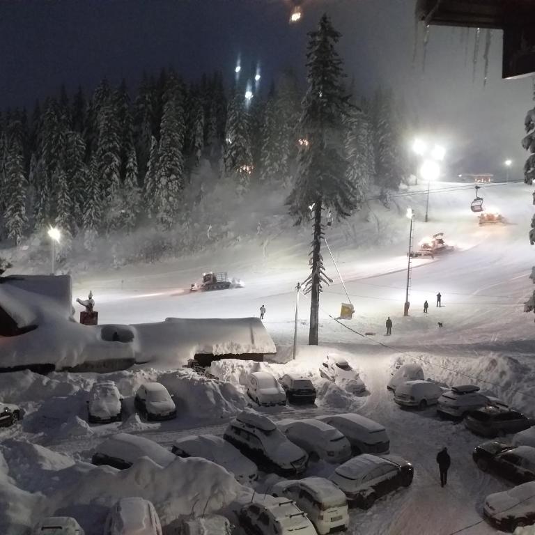 Nivalis Residence A15 - One-Bedroom Apartment - 14