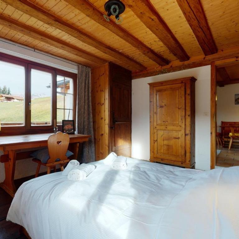Les Hirondelles, cosy apartment with a magnificent view on the mountains - Apartment mit 1 Schlafzimmer - 19
