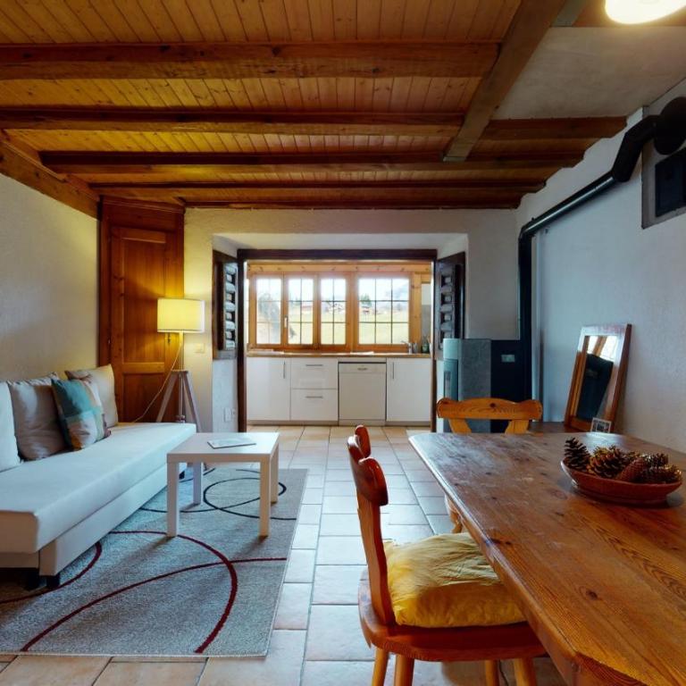 Les Hirondelles, cosy apartment with a magnificent view on the mountains - Apartment mit 1 Schlafzimmer - 11