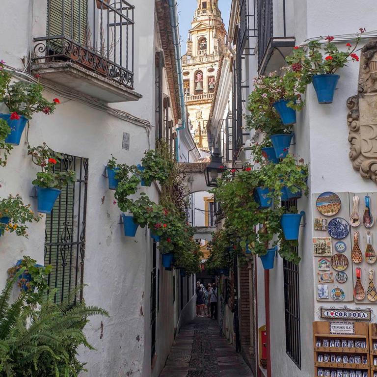 Apartamento Córdoba Palace - Apartamento de 3 dormitorios - 23
