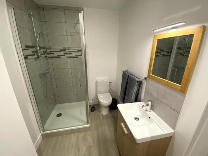 Villa Raphaëlle #1 Centre ville avec parking - Appartement 1 Chambre - 4