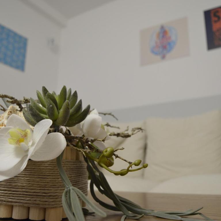 VIANYMAR APARTAMENTOS - Apartamento de 3 dormitorios - 5
