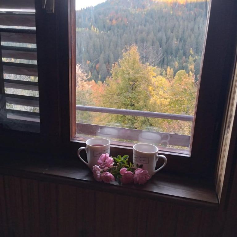 Planinska kuća ,,Furtula" Jahorina - Three-Bedroom House - 17