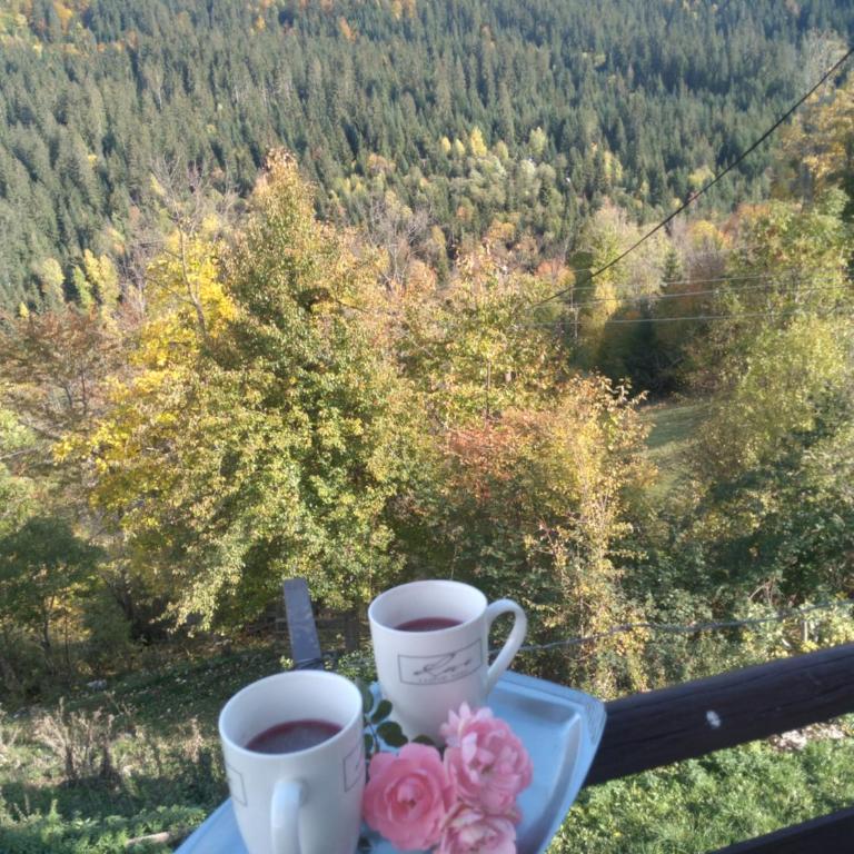 Planinska kuća ,,Furtula" Jahorina - Three-Bedroom House - 15