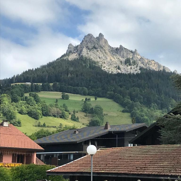 Bernex studio au calme parking privé - Studio - Vue sur Montagne - 12