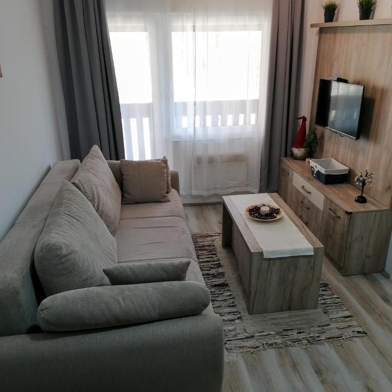 Apartman Div Kopaonik - One-Bedroom Apartment - 2