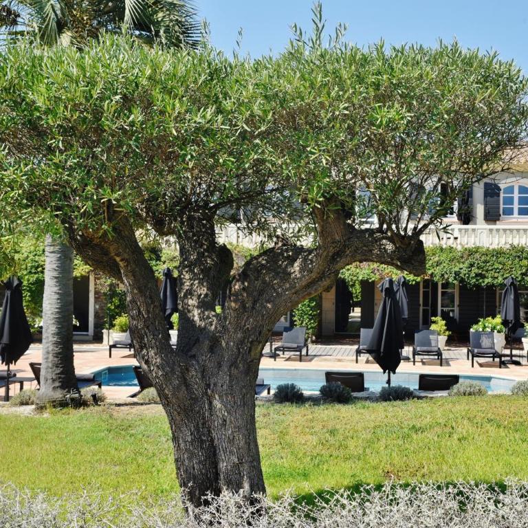 Bastide Sainte Anne - Chambre Double - Vue sur Jardin - 3