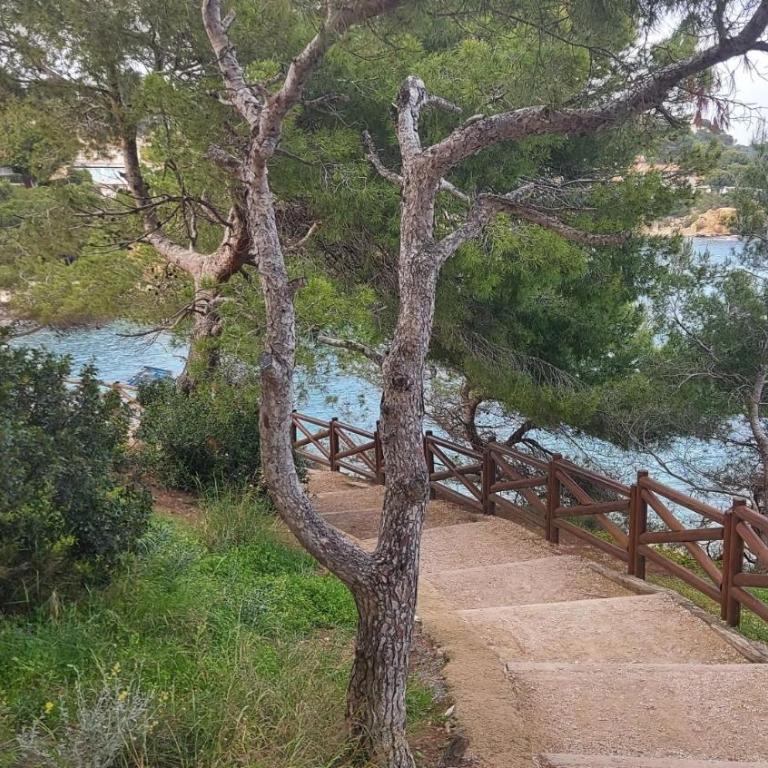 LA COLINA - Managed by Almarina - Villa with Private Pool - 67