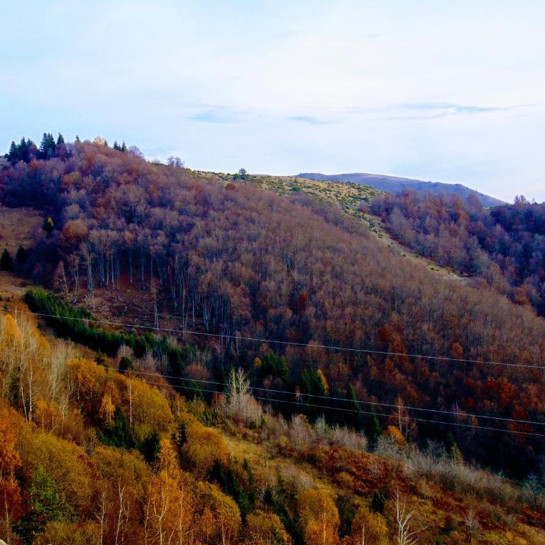 Sunny Days apartman Kopaonik - Apartment with Mountain View - 23