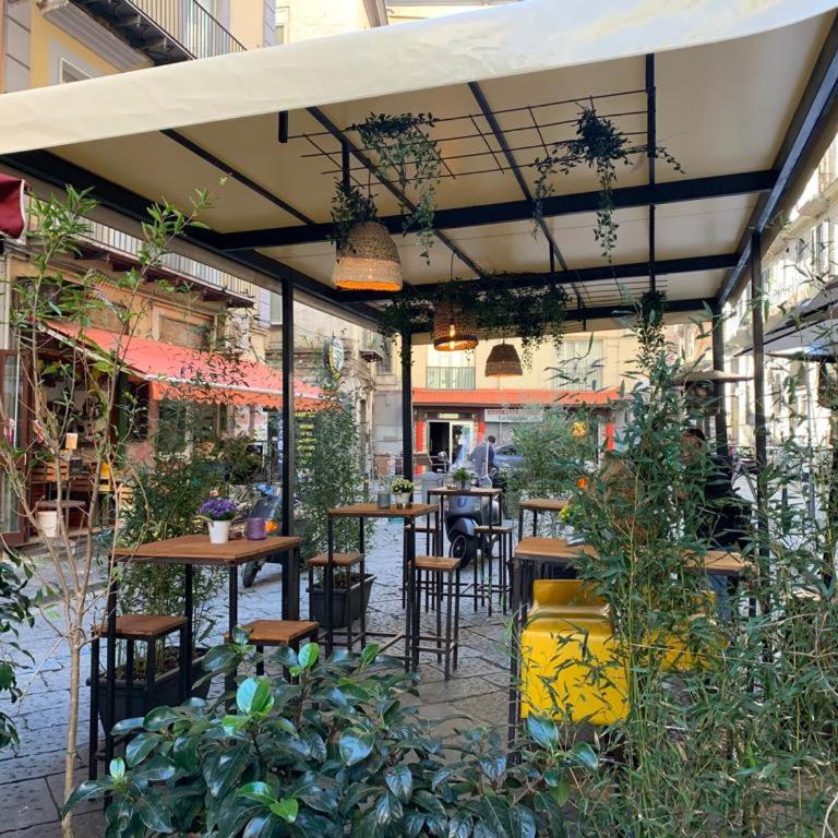 la terrazza sul porto - Appartamento - 21
