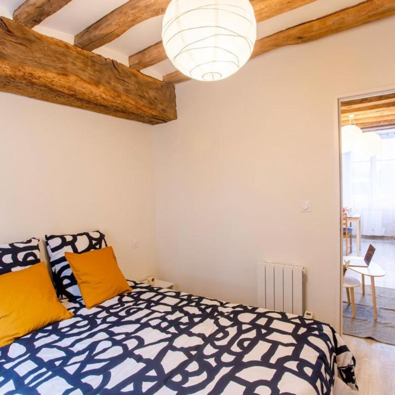 "LE VINCI" Châteaux, Loire & Centre-ville - Appartement - Rez-de-Chaussée - 9