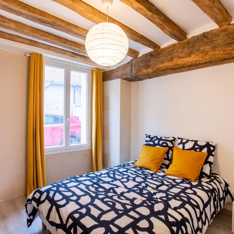 "LE VINCI" Châteaux, Loire & Centre-ville - Appartement - Rez-de-Chaussée - 10