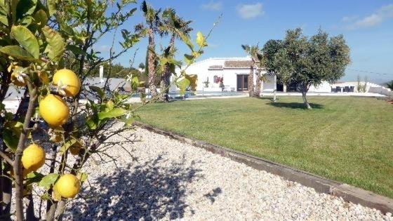 Villa Orlando by Aguilarent - Villa - 58
