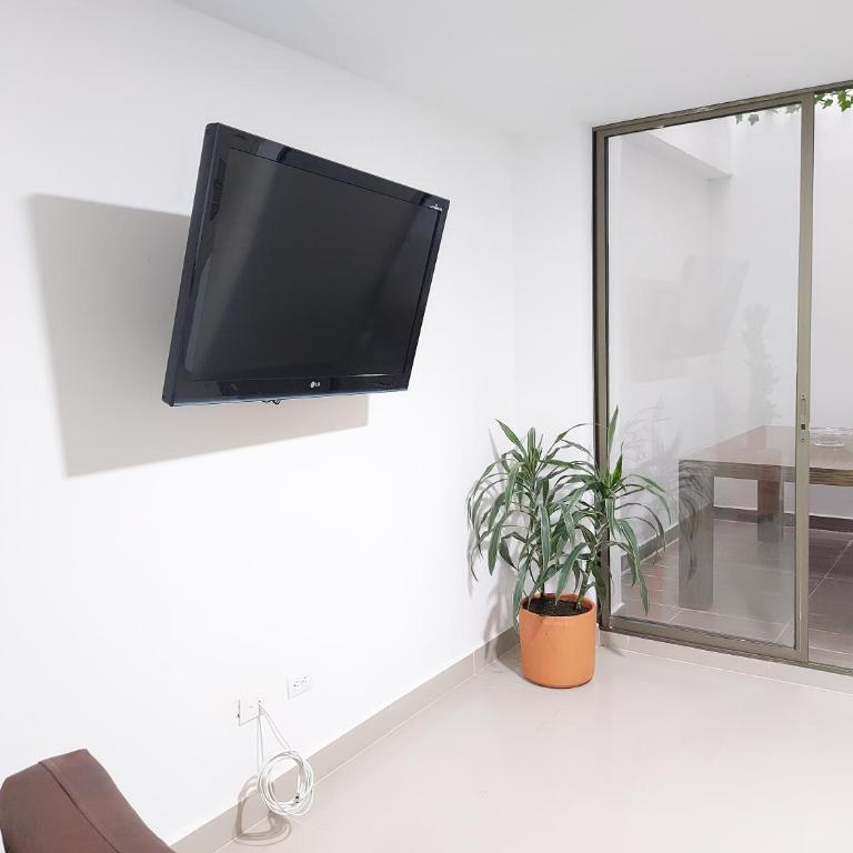 P.H Downtown - Tranvía - Apartamento de 3 dormitorios - 43