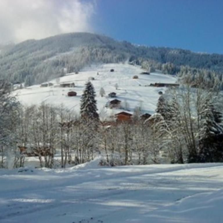 Andreas Apartment im Landhaus Moser - Apartment mit 2 Schlafzimmern - 12