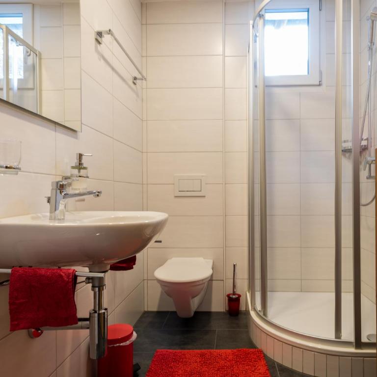 Haus Alpenblick - Studio - Dachgeschoss - 2