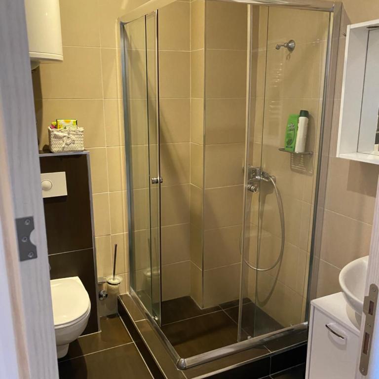 Apartman Sky View, Župa Wellness & Spa u Centru Kopaonika - One-Bedroom Apartment - 13
