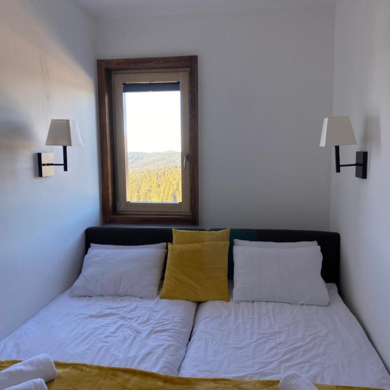 Apartman Sky View, Župa Wellness & Spa u Centru Kopaonika - One-Bedroom Apartment - 12