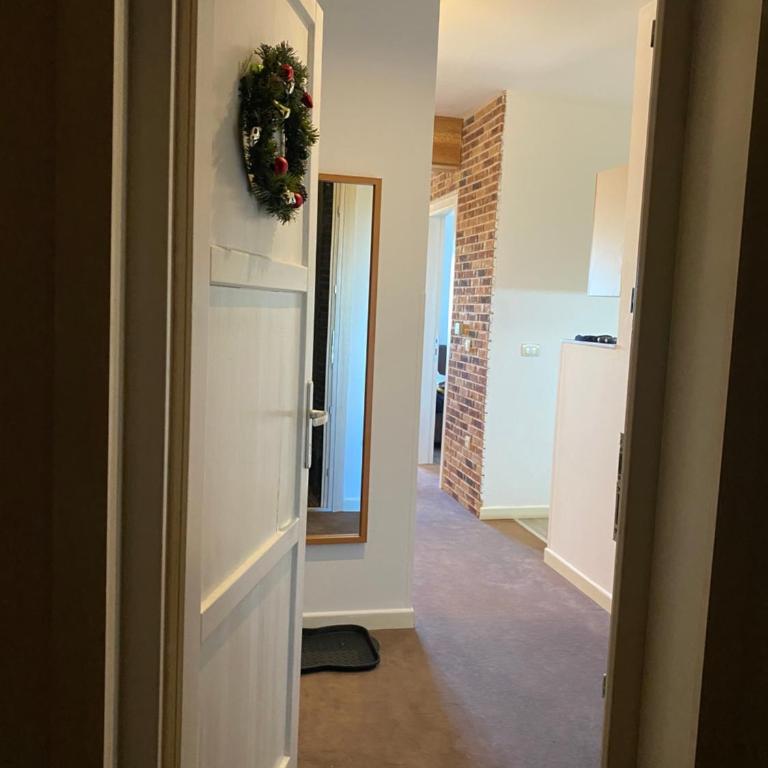 Apartman Sky View, Župa Wellness & Spa u Centru Kopaonika - One-Bedroom Apartment - 1